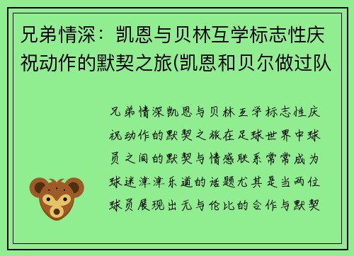 兄弟情深：凯恩与贝林互学标志性庆祝动作的默契之旅(凯恩和贝尔做过队友吗)