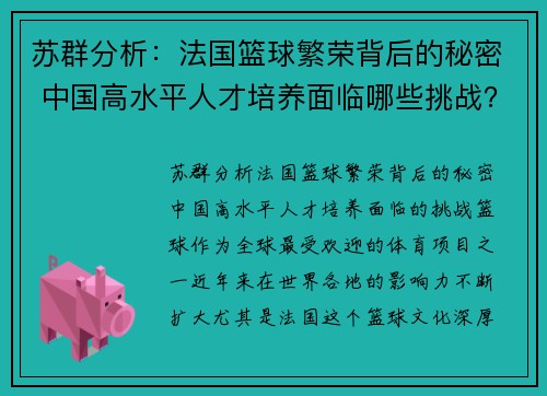 苏群分析：法国篮球繁荣背后的秘密 中国高水平人才培养面临哪些挑战？